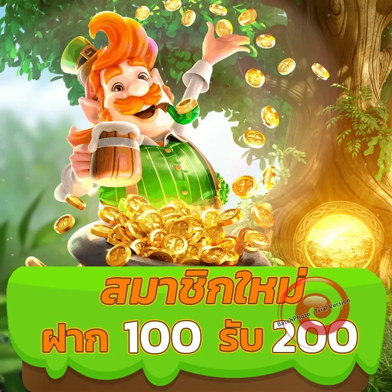 miami678 ทางเข้า